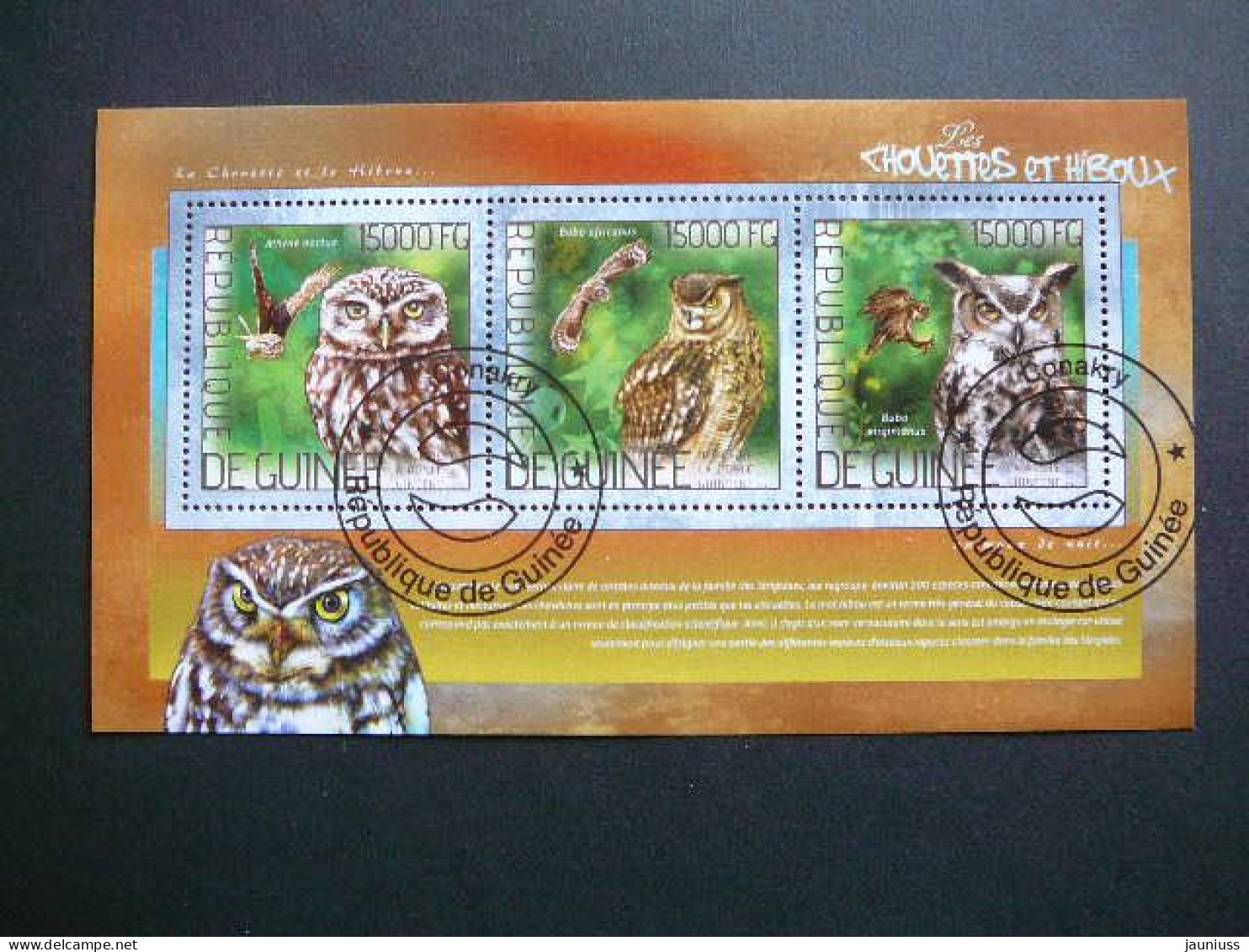 Owls. Eulen. Les Hiboux  # Guinea Guinee 2014 Used S/s #32 Birds - Eulenvögel