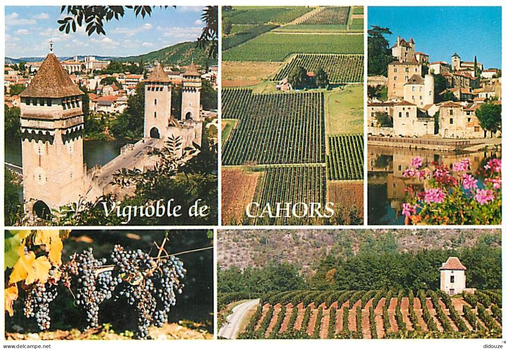 Vignes - Vignoble De Cahord - Multivues - CPM - Carte Neuve - Voir Scans Recto-Verso - Viñedos