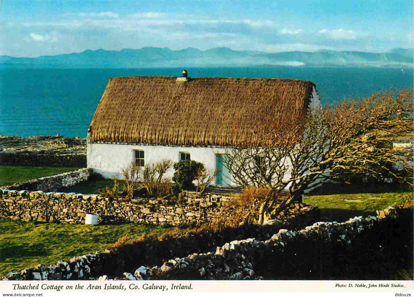 Irlande - Galway - Aran Islands - Thatched Cottage - CPM - Carte Neuve - Voir Scans Recto-Verso - Galway