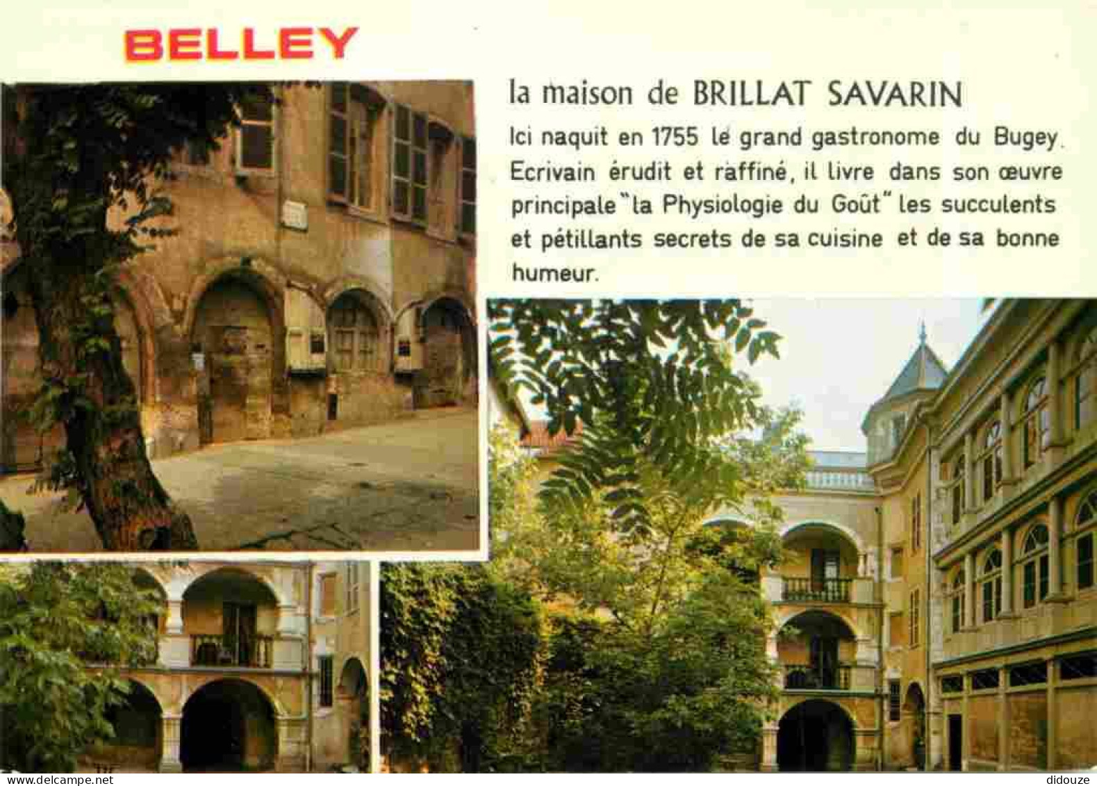 01 - Belley - Maison Natale De Brillat Savarin Le Grand Gastronome - Multivues - CPM - Carte Neuve - Voir Scans Recto-Ve - Belley