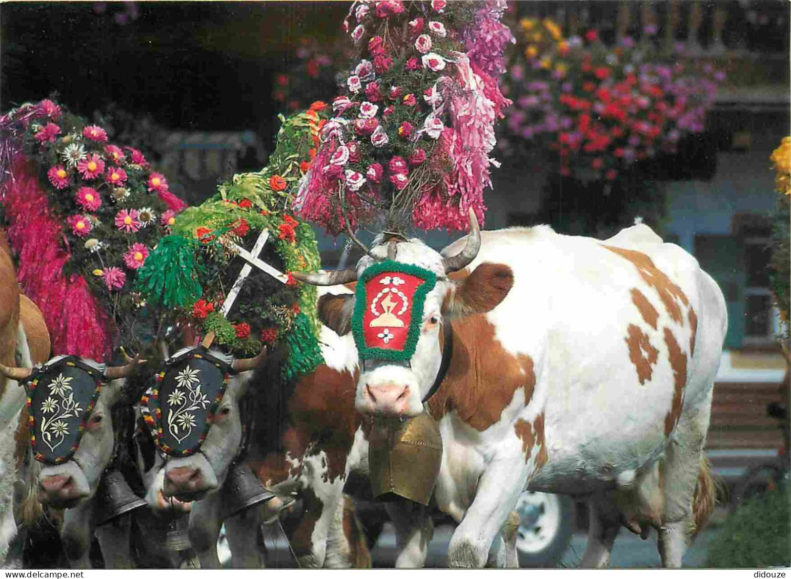 Animaux - Vaches - Autriche - Almabtrieb In Den Bergen - CPM - Voir Scans Recto-Verso - Kühe