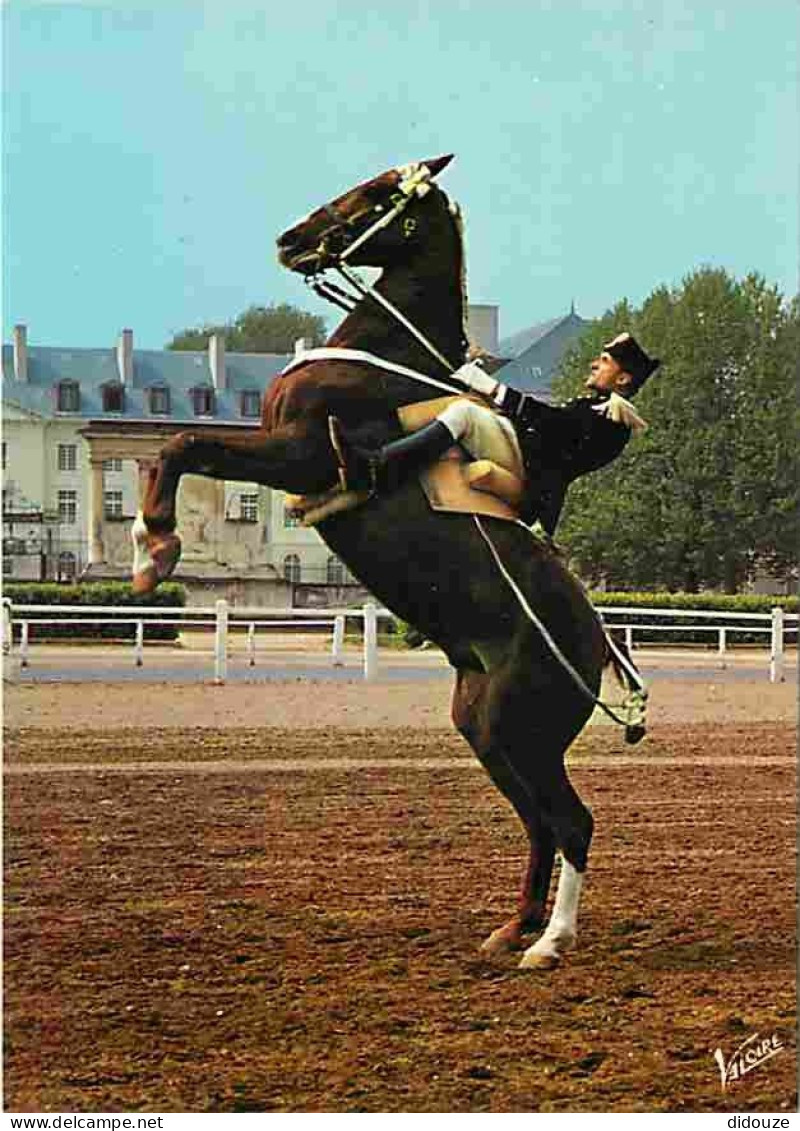 Animaux - Chevaux - Saumur - Le Cadre Noir - Courbette - Carte Neuve - CPM - Voir Scans Recto-Verso - Pferde