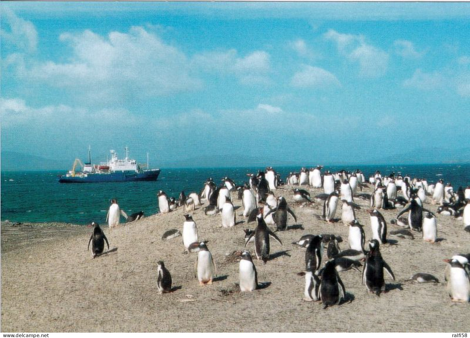 1 AK Falkland * Forschungsschiff Zwischen Den Falkland Inseln Und Eine Pinguin Kolonie * - Islas Malvinas