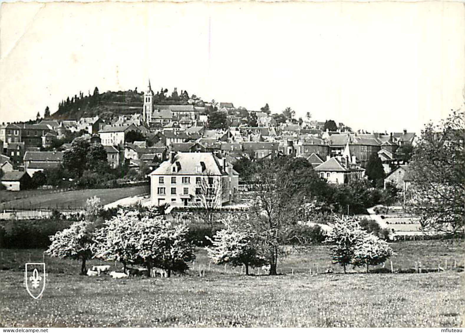 58* CHATEAU CHINON CPSM (10x15cm)    MA71-0946 - Chateau Chinon