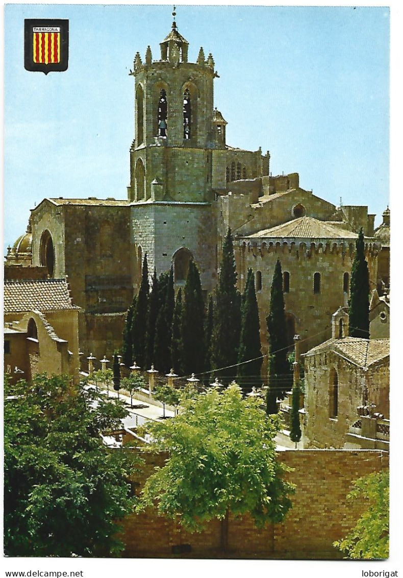 CATEDRAL, CAMPANARIO / CATHEDRAL, CLOCHER / CATHEDRAL, BELFRY.-  COSTA DORADA.-  TARRAGONA.- ( CATALUNYA ) - Chiese E Cattedrali