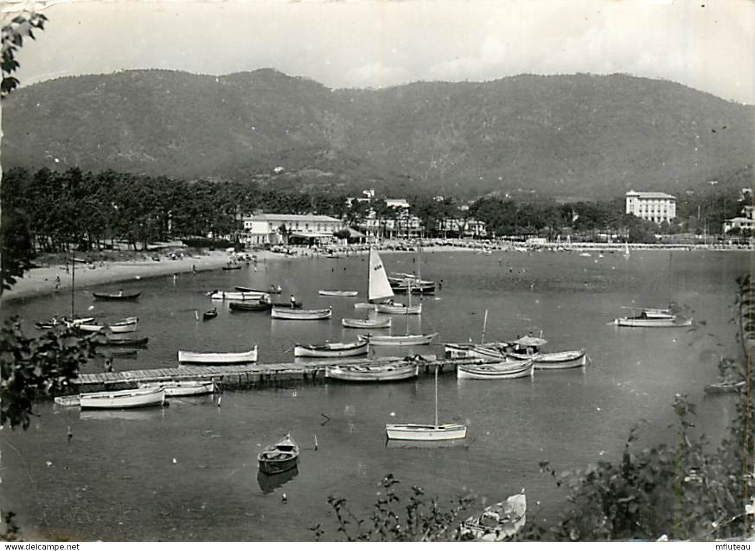 83* CAVALAIRE  Plage CPSM (10x15cm)         MA75-0336 - Cavalaire-sur-Mer