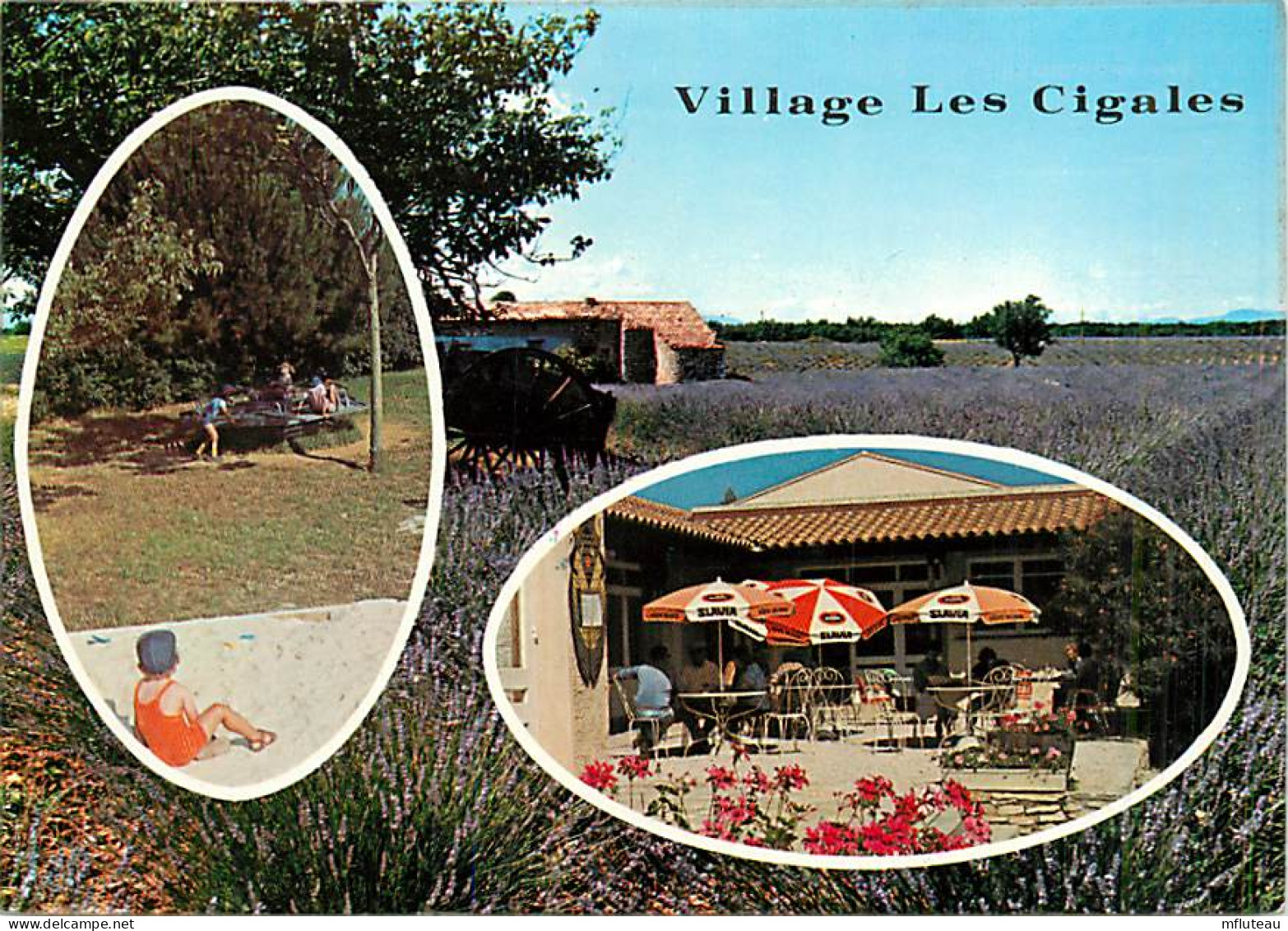 83* SIX FOURS LES PLAGES Multivus - Village Cigales CPM (10x15cm)         MA75-0344 - Six-Fours-les-Plages