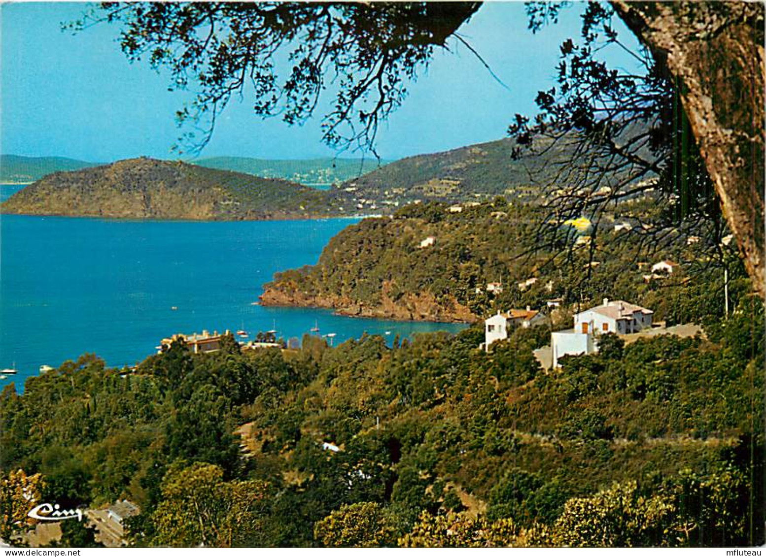 83* LE RAYOL - CANADEL Mairie  CPM (10x15cm)        MA75-0280 - Rayol-Canadel-sur-Mer