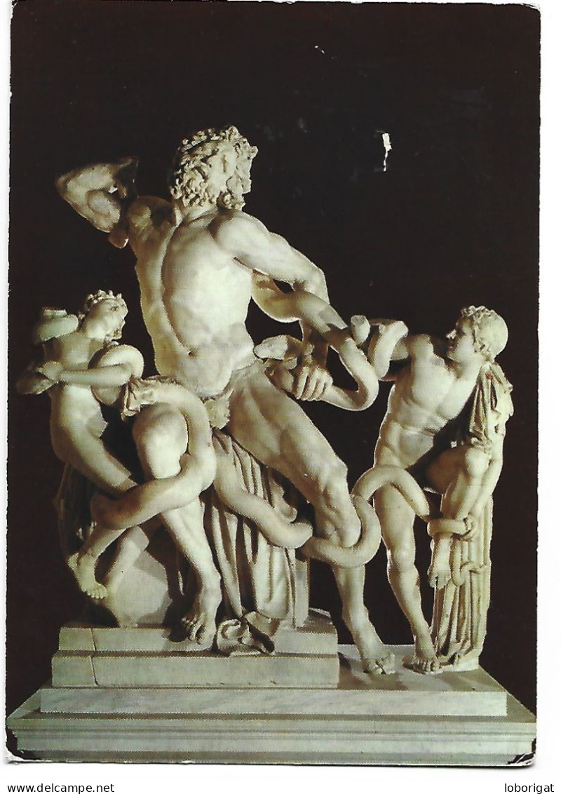 GALLERIA DELLA STATUE / GROUP OF THE LAOCOON.- CITTA DEL VATICANO / ROMA.- ( VATICANO / ITALIA ) - Iglesias Y Catedrales