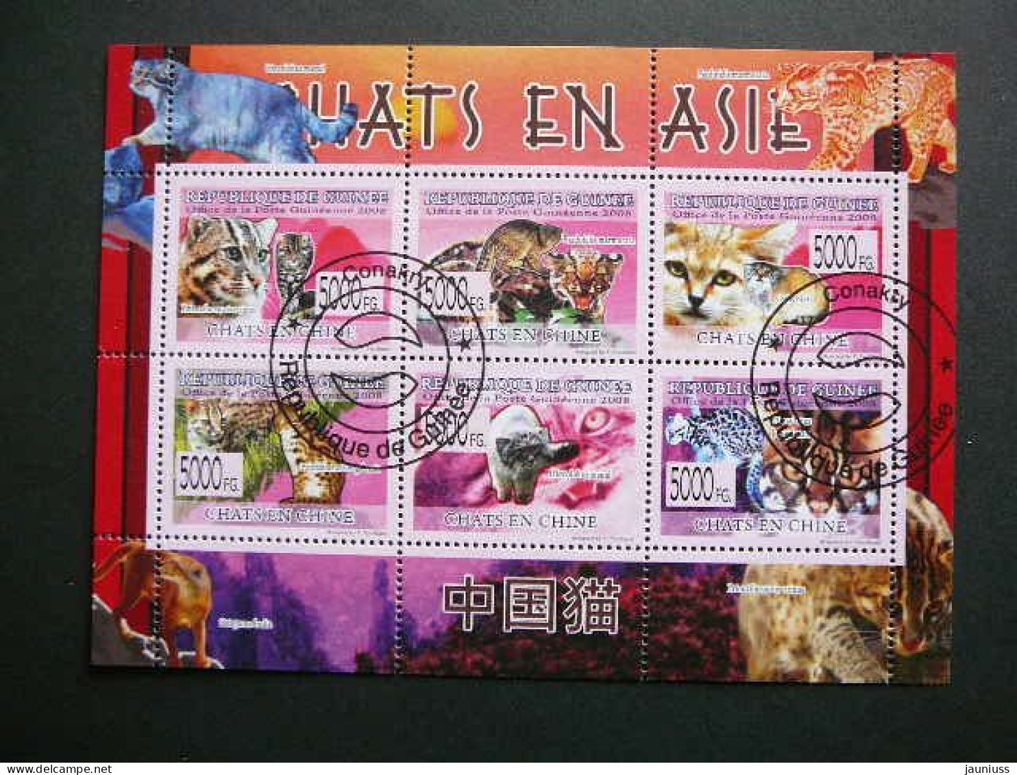 Cats. Katzen. Chats # Guinea Guinee 2008 Used S/s #34 Domestic Cats - Gatos Domésticos