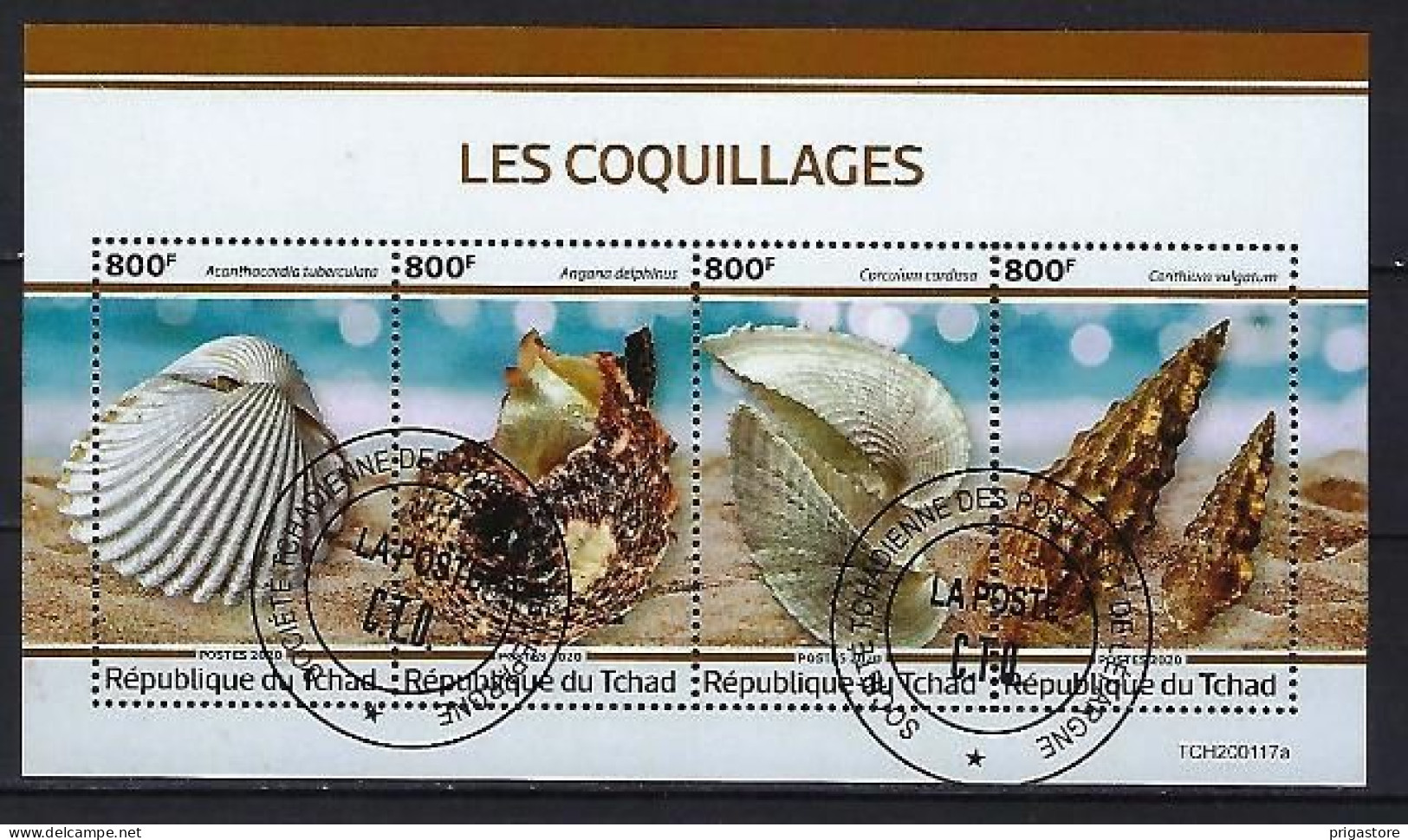 Animaux Coquillages Tchad 2020 (392) Yvert N° 2384 à 2387 Oblitérés Used - Conchas