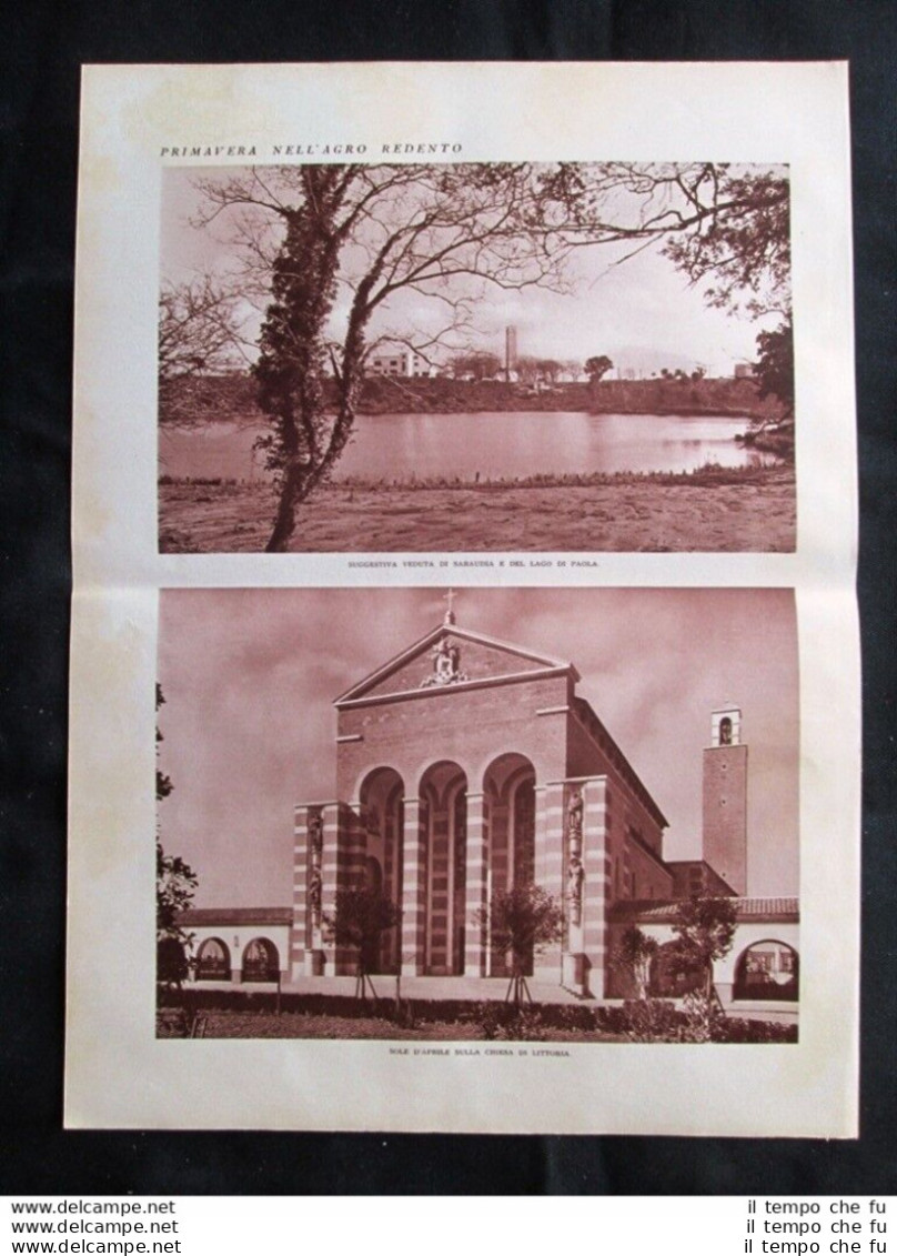 Sabaudia, Littoria + Chiesa San Marco A Venezia, Maffeo Verona Stampa Del 1935 - Sonstige & Ohne Zuordnung