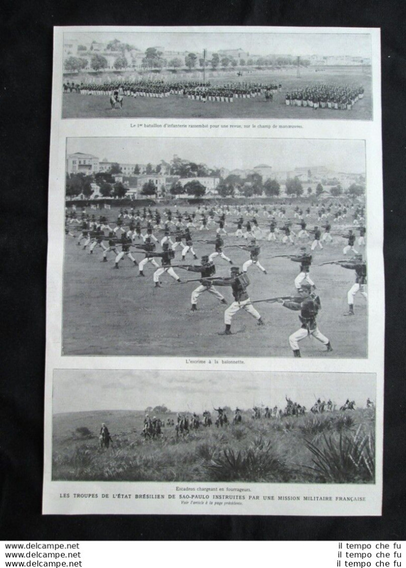 Le Truppe Dello Stato Del Brasile Di San Paolo Stampa Del 1909 - Sonstige & Ohne Zuordnung