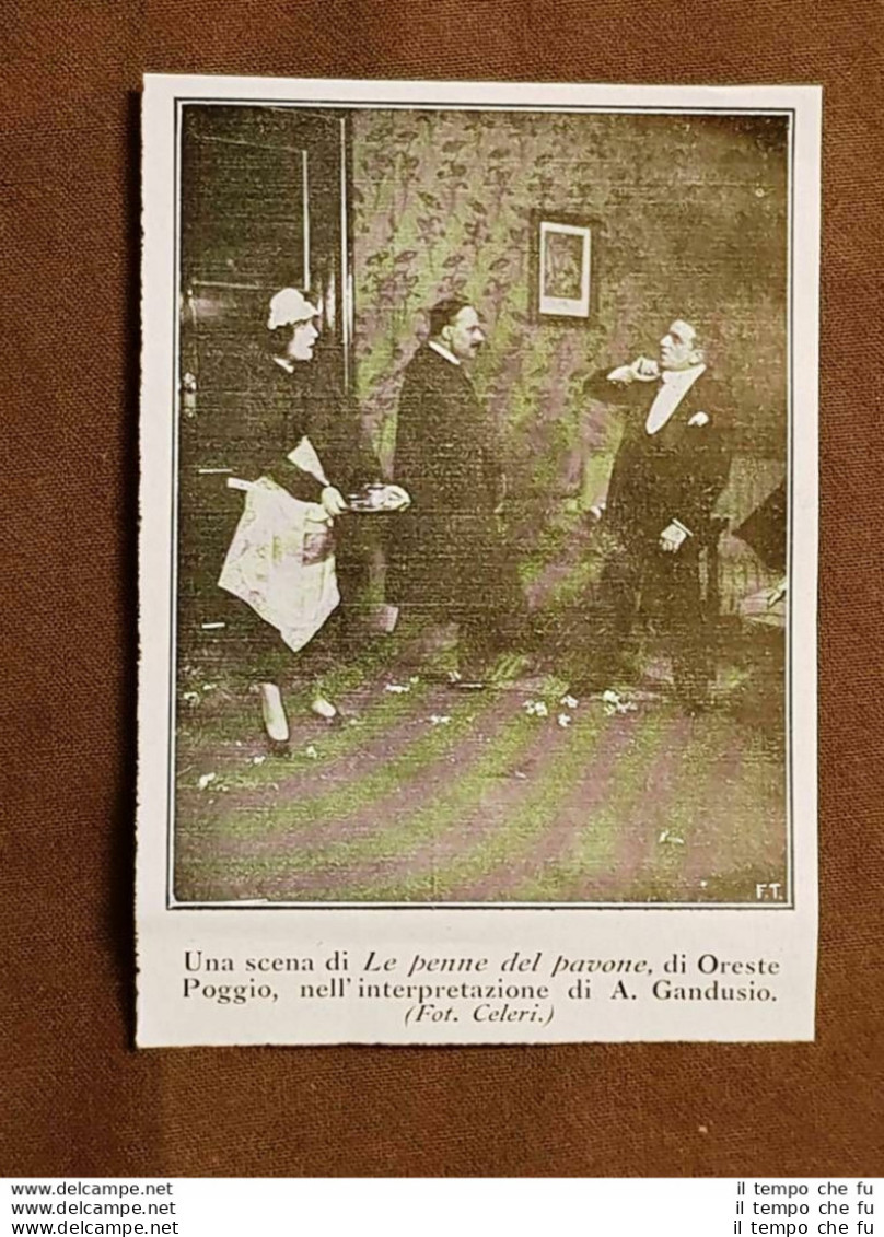 L'Attore Di Teatro A. Gandusio Nel 1925 Le Penne Del Pavone Di Oreste Poggio - Sonstige & Ohne Zuordnung