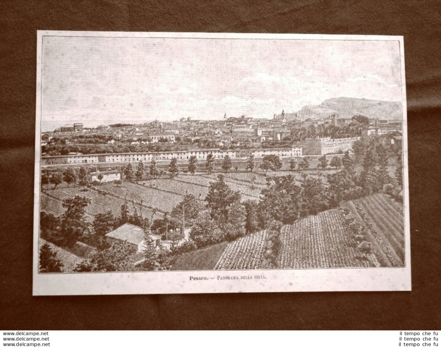 Incisione Del 1891 Rarissimo Panorama Di Pesaro - Marche - Before 1900