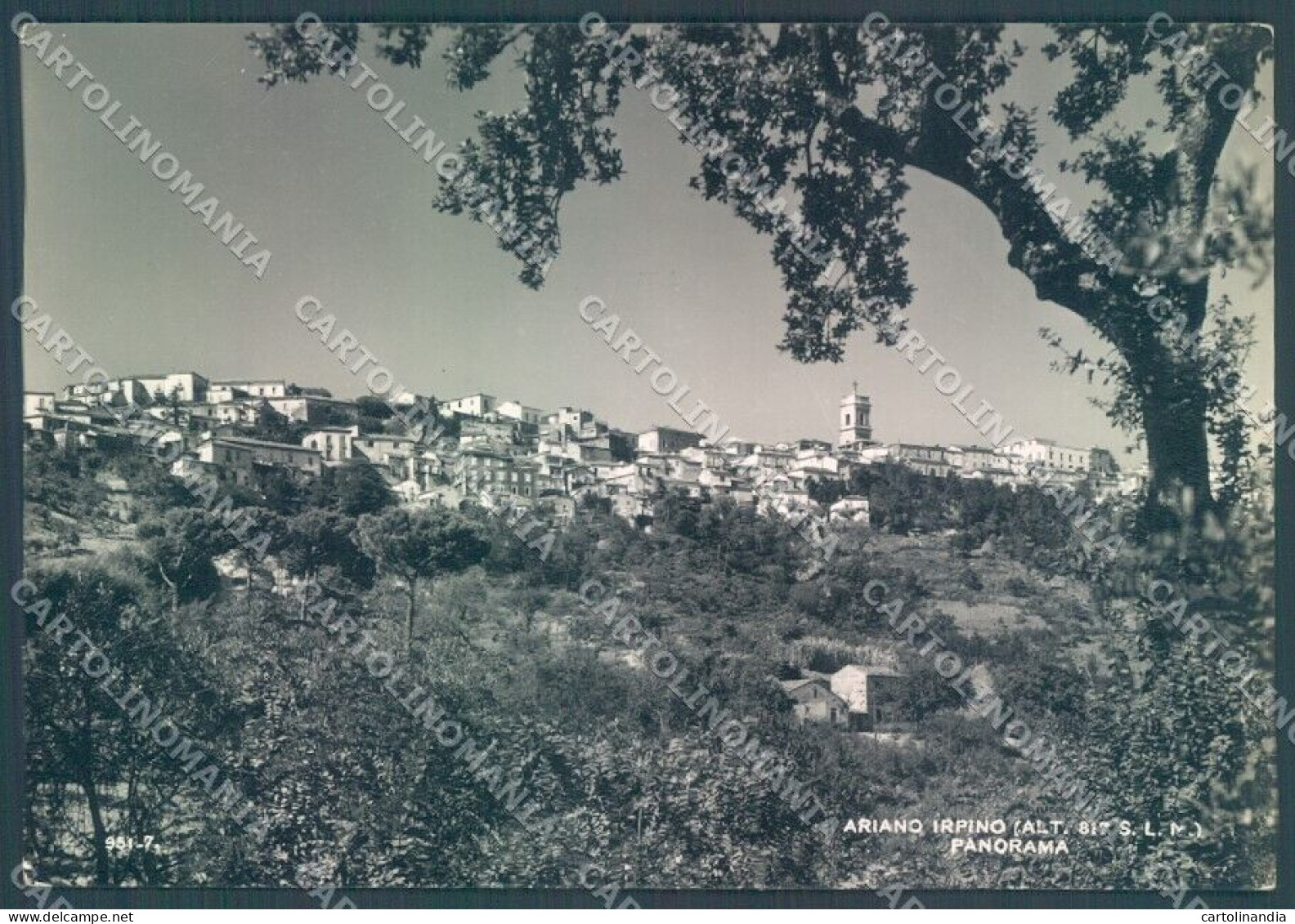 Avellino Ariano Irpino Brunner 951-7 Foto FG Cartolina JK1533 - Avellino