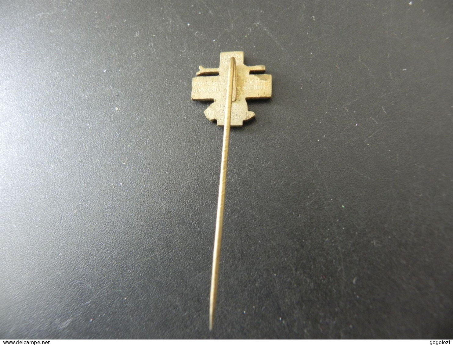 Old Pin Anstecknadel  - Schweiz Switzerland - Jugendskilager - Ohne Zuordnung