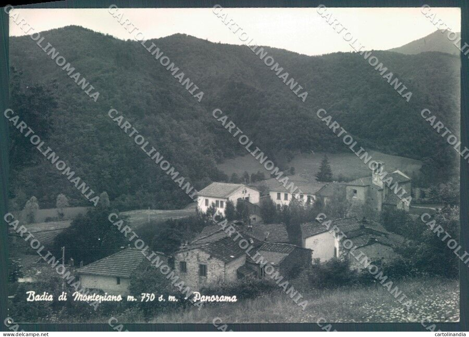 Potenza Badia Di Montepiano Foto FG Cartolina JK1545 - Potenza