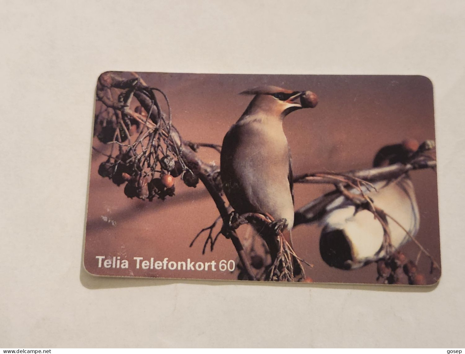 SWEDEN-(SE-TEL-060-0067)-Bird 3 Waxwing-(22)(Telefonkort 60)(tirage-100.000)(003077134)-used Card+1card Prepiad Free - Schweden