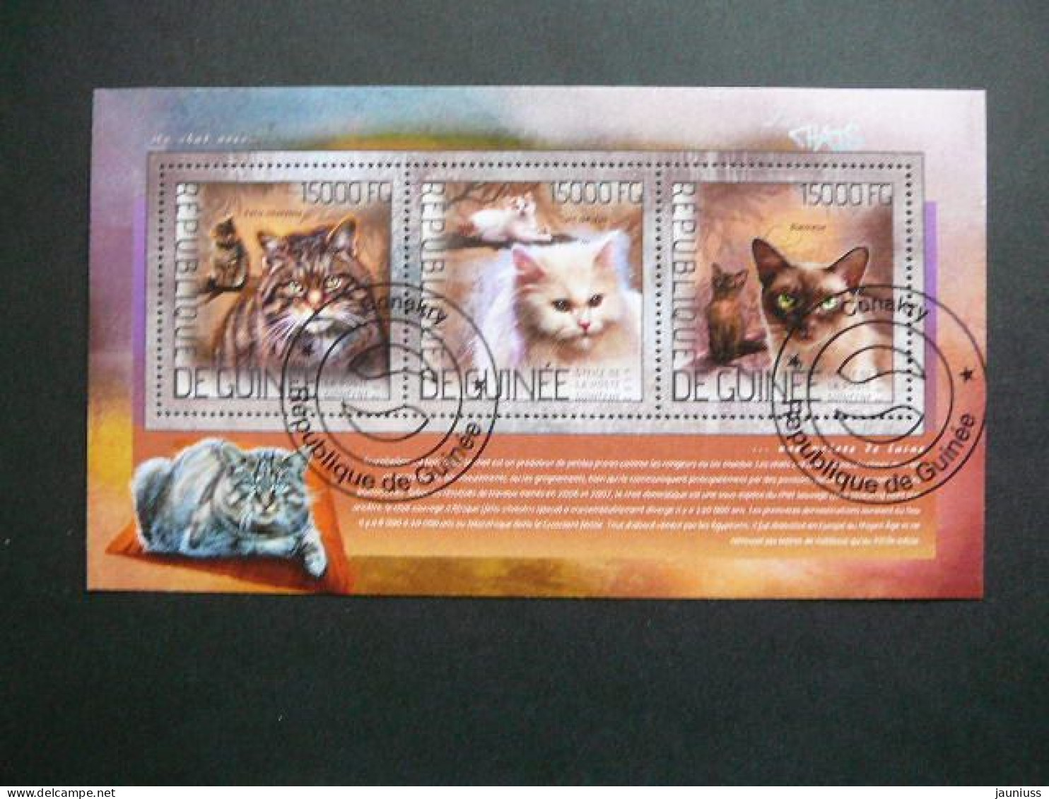 Cats. Katzen. Chats  # Guinea Guinee 2014 Used S/s #35 Domestic Cats - Chats Domestiques