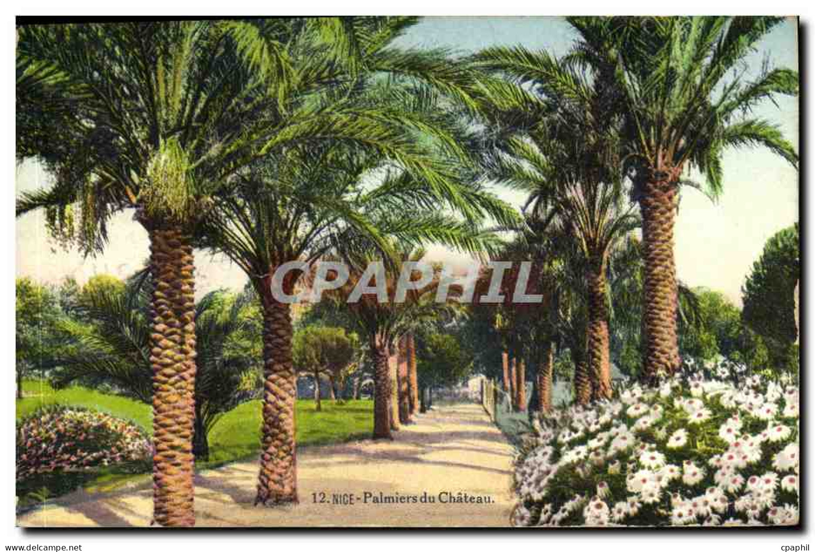 CPA Nice Palmiers Du Chateau - Parcs Et Jardins