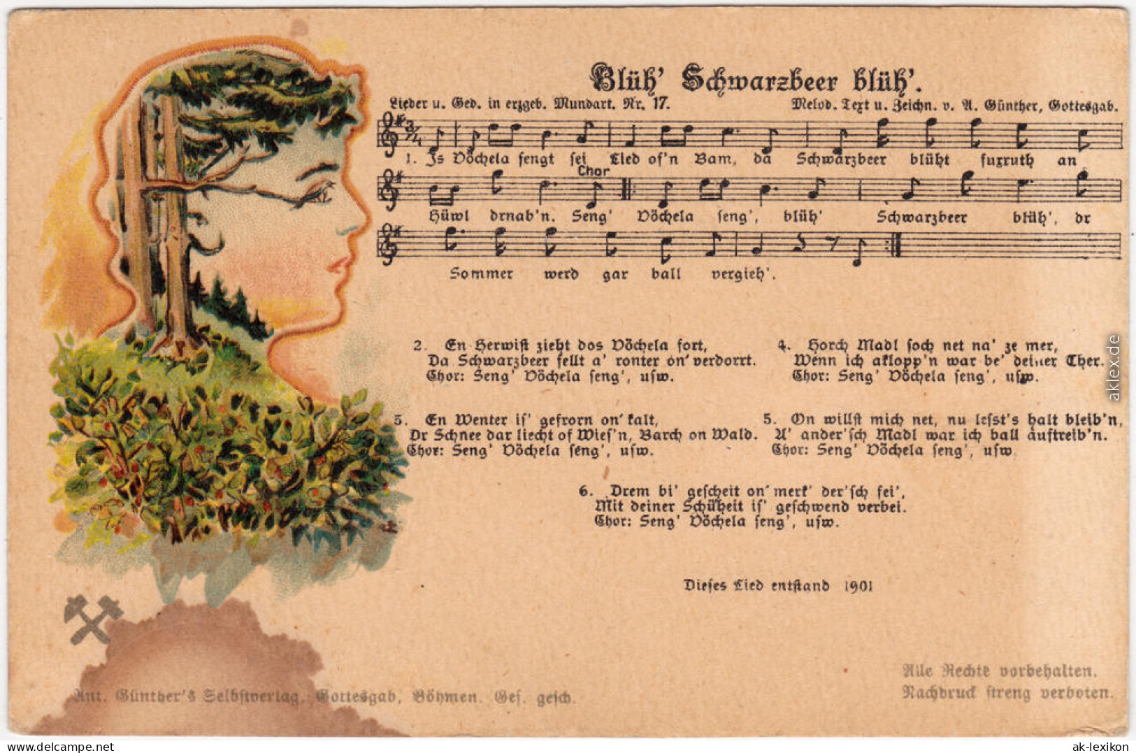 Blüh Schwarzbeer Blüh! Liedkarte Anton Günther Gottesgab Erzgebirge 1908 - Musique