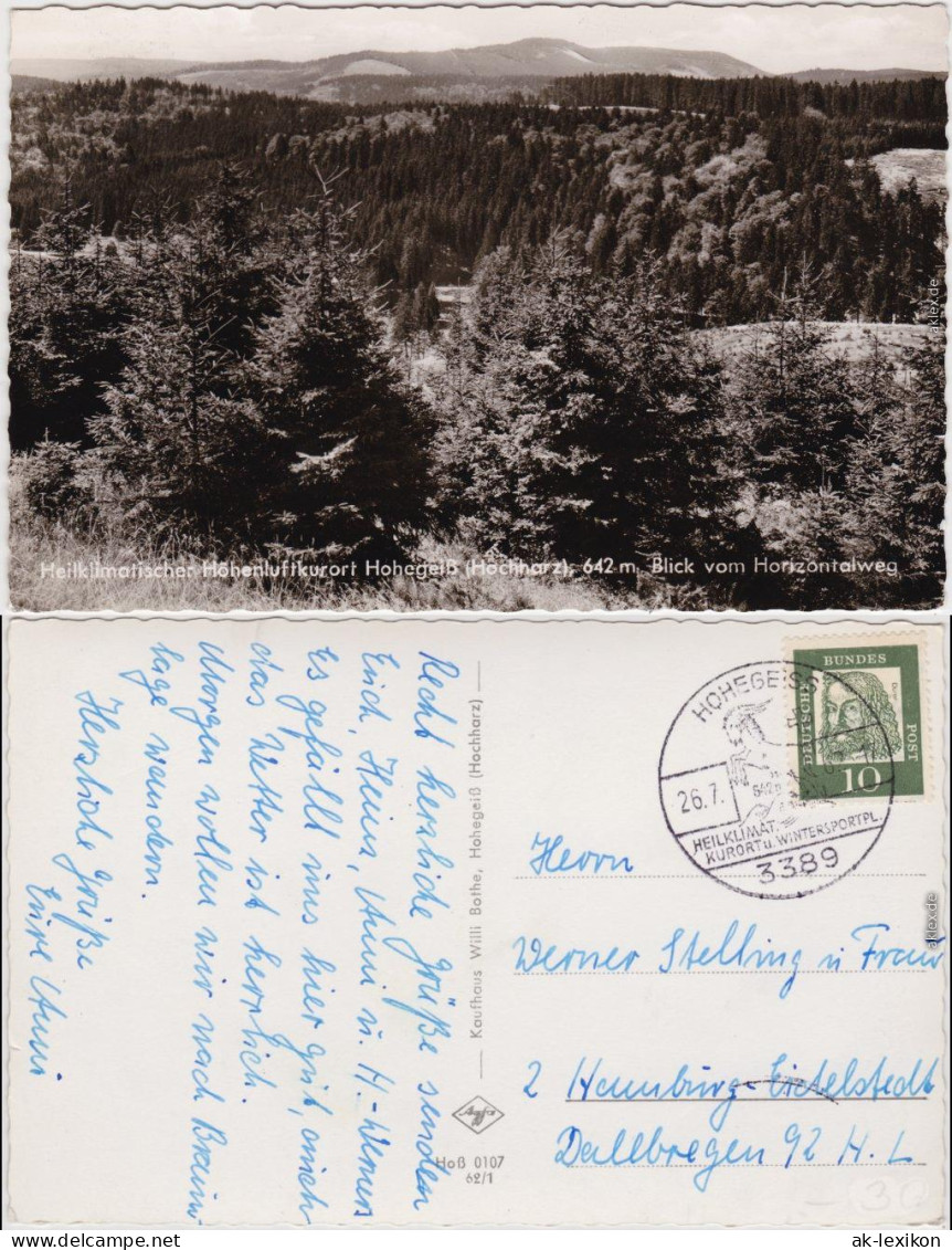 Hohegeiß Braunlage Panorama-Ansicht Vom Heilklimatischer 1962 - Braunlage