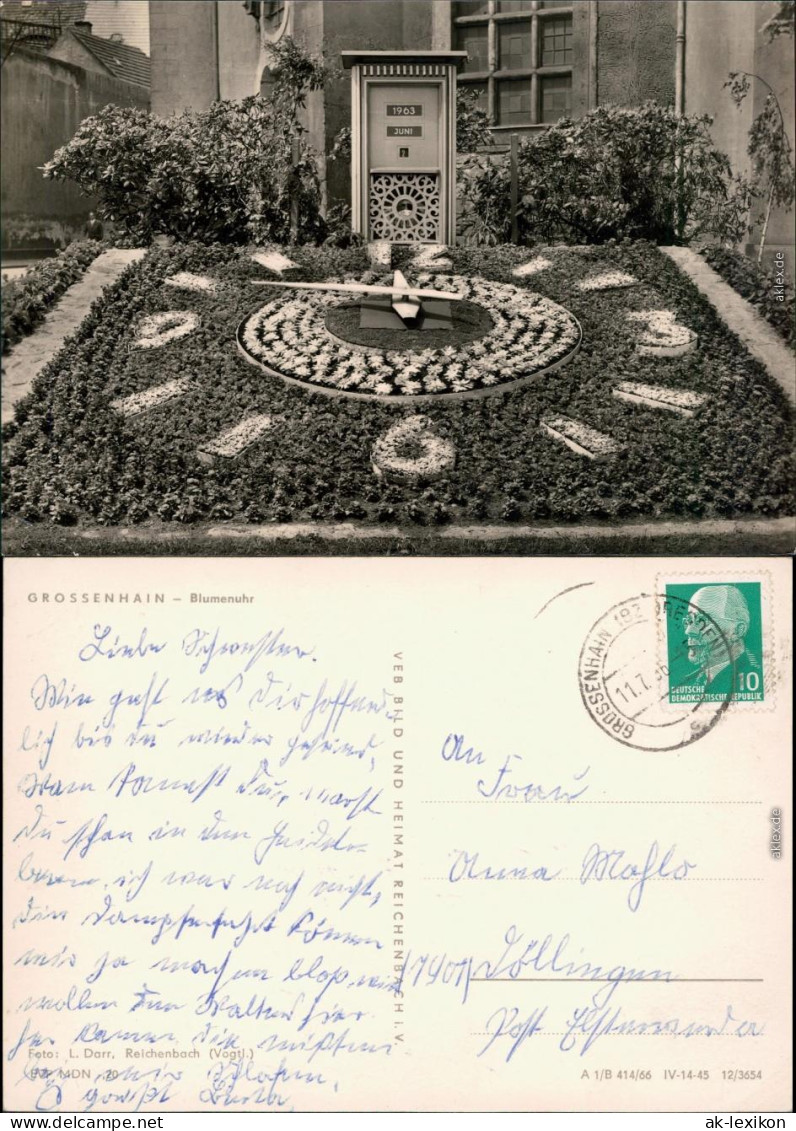 Großenhain Blumenuhr  Ansichtskarte 1966 - Grossenhain