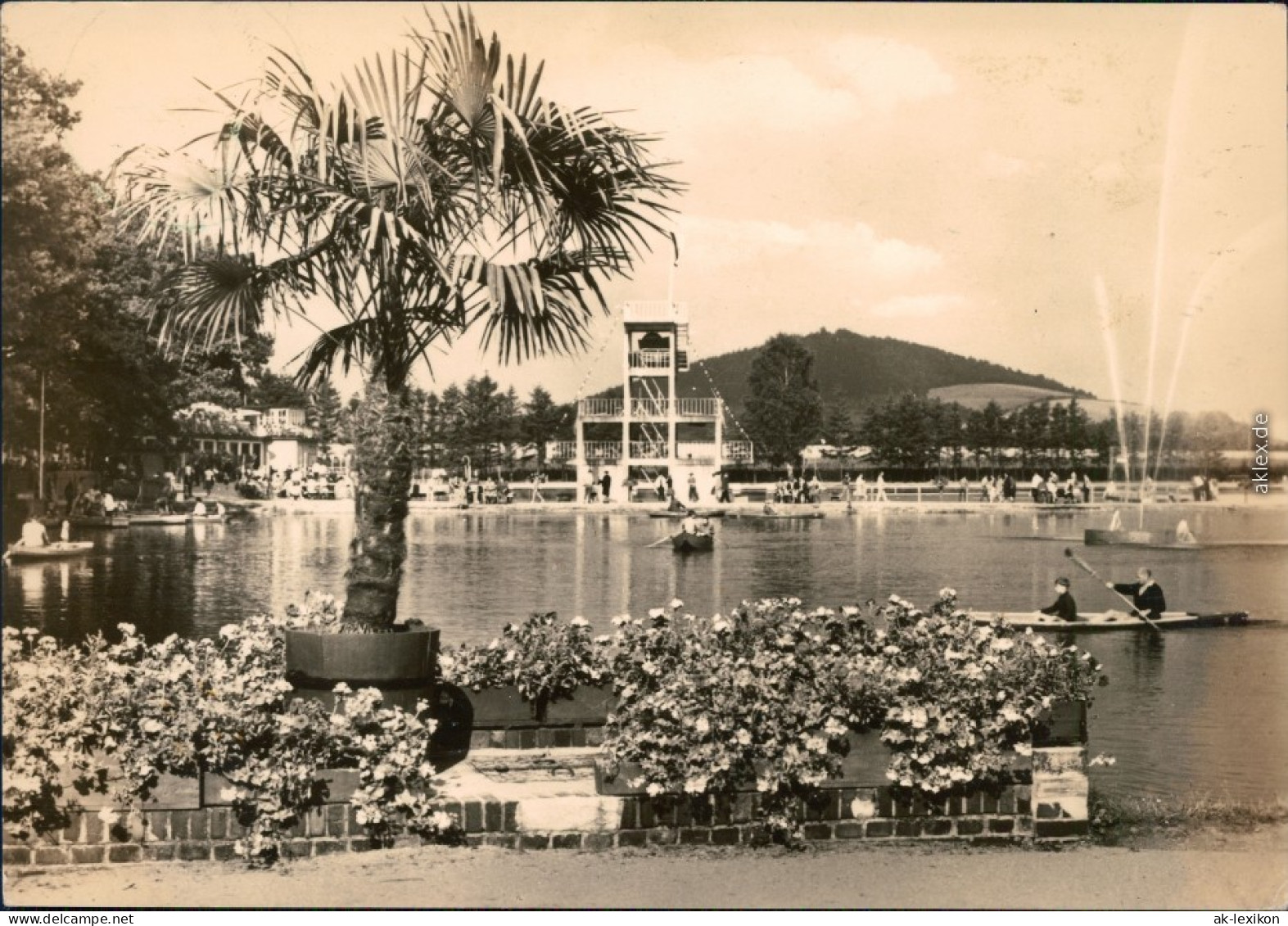 Großschönau (Sachsen) Waldstrandbad  Ansichtskarte  1962 - Grossschoenau (Sachsen)