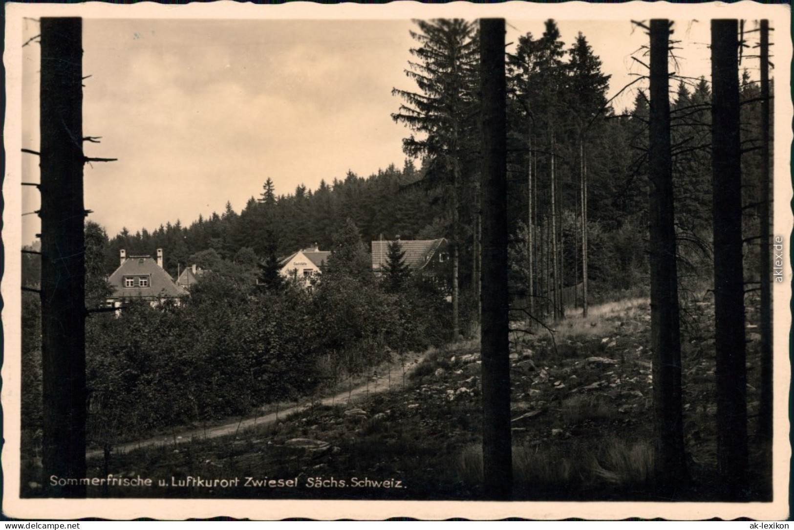 Ansichtskarte Zwiesel-Bad Gottleuba-Berggießhübel Panorama - Foto AK 1937 - Bad Gottleuba-Berggiesshübel