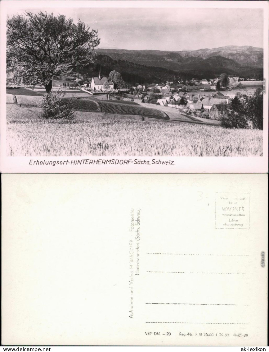 Ansichtskarte Hinterhermsdorf-Sebnitz Panorama-Ansicht 1963 - Hinterhermsdorf