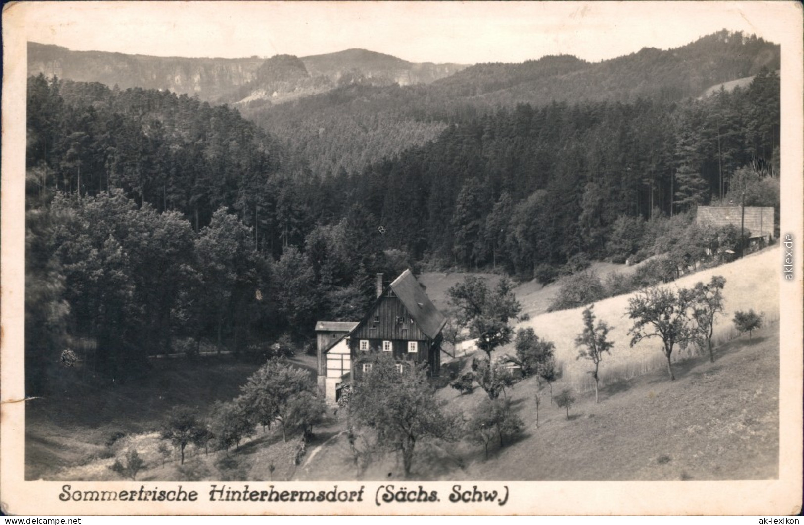 Ansichtskarte Hinterhermsdorf-Sebnitz Panorama-Ansicht 1951 - Hinterhermsdorf