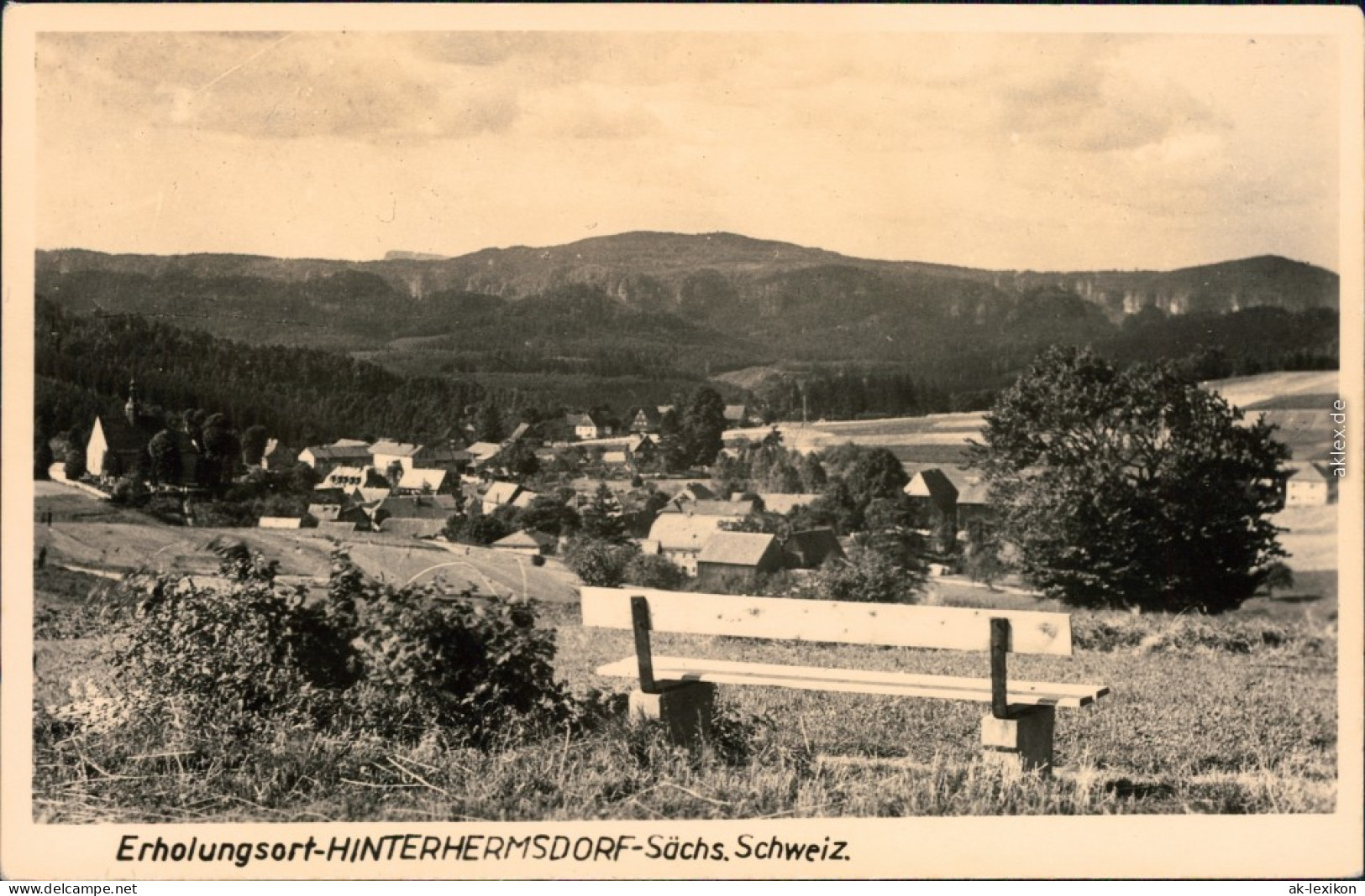 Ansichtskarte Hinterhermsdorf-Sebnitz Panorama-Ansicht 1955 - Hinterhermsdorf