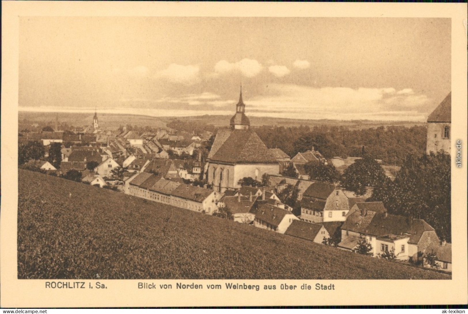Ansichtskarte Rochlitz Stadt Vom Weinberg Aus 1922  - Rochlitz