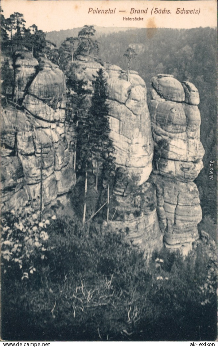 Ansichtskarte Hohnstein (Sächs. Schweiz) Polenztal - Brand, Hafersäcke 1916 - Hohnstein (Saechs. Schweiz)