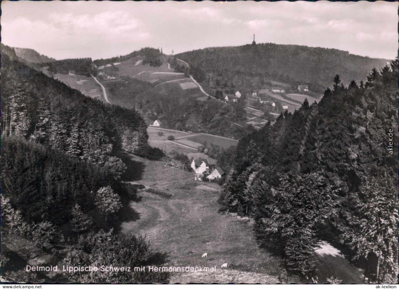 Foto Ansichtskarte Hiddesen Detmold Lippische Schweiz Mit Hermannsdenkmal 1961 - Detmold