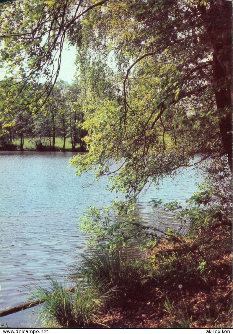 Ansichtskarte Spremberg Grodk Schloß Mit Teich 1981 - Spremberg