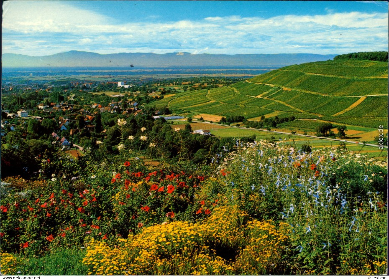 Ansichtskarte Badenweiler Panorama-Ansicht Mit Weitblick 1988 - Badenweiler