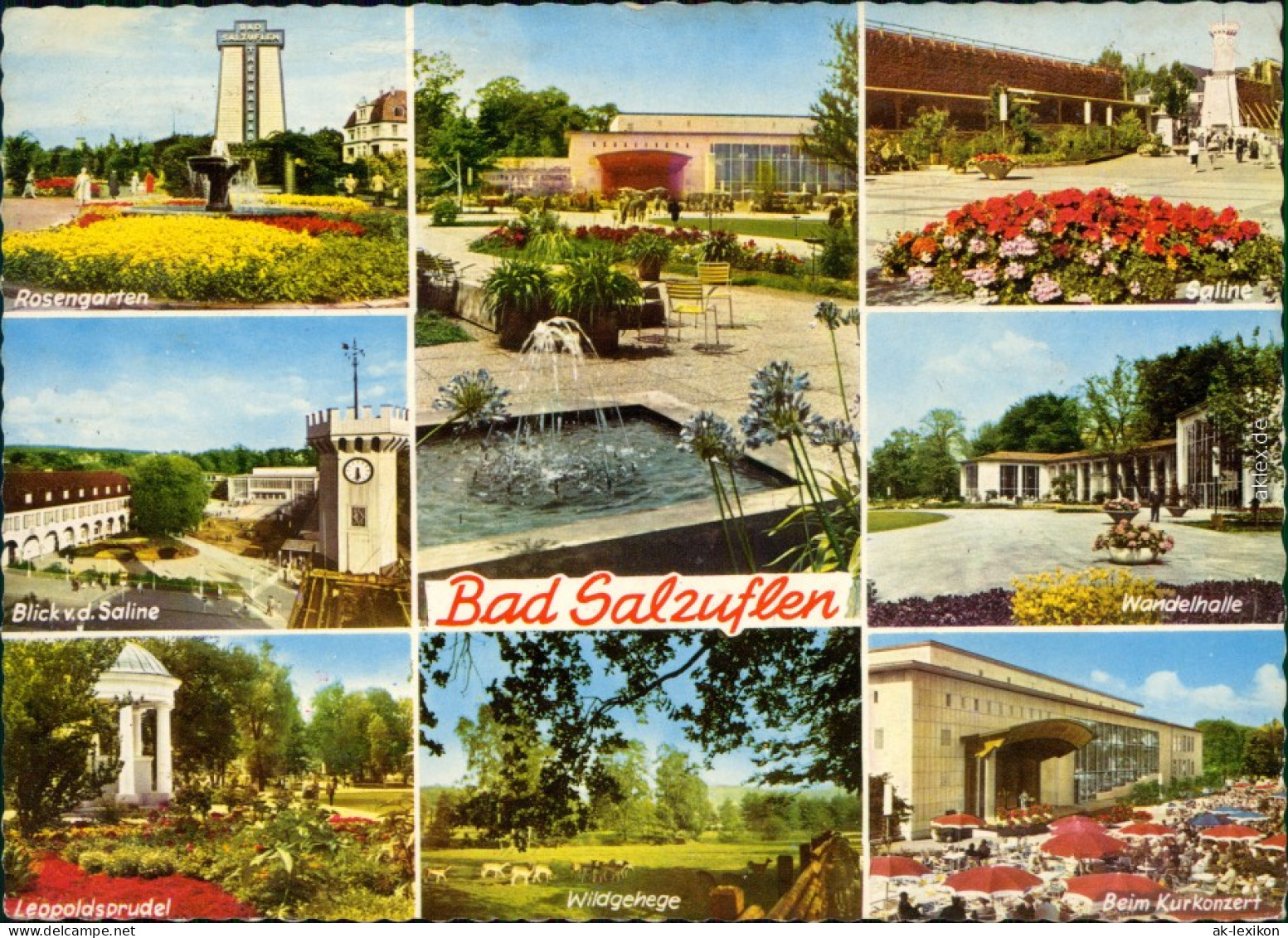 Bad Salzuflen Rosengarten, Saline, Wandelhalle, Wildgehege Uvm. 1967 - Bad Salzuflen