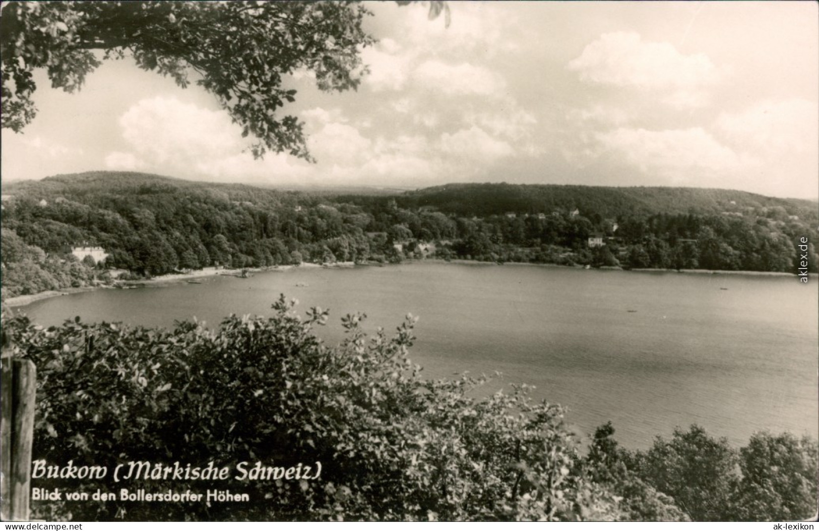 Ansichtskarte Buckow (Märkische Schweiz) Schermützelsee 1959 - Buckow