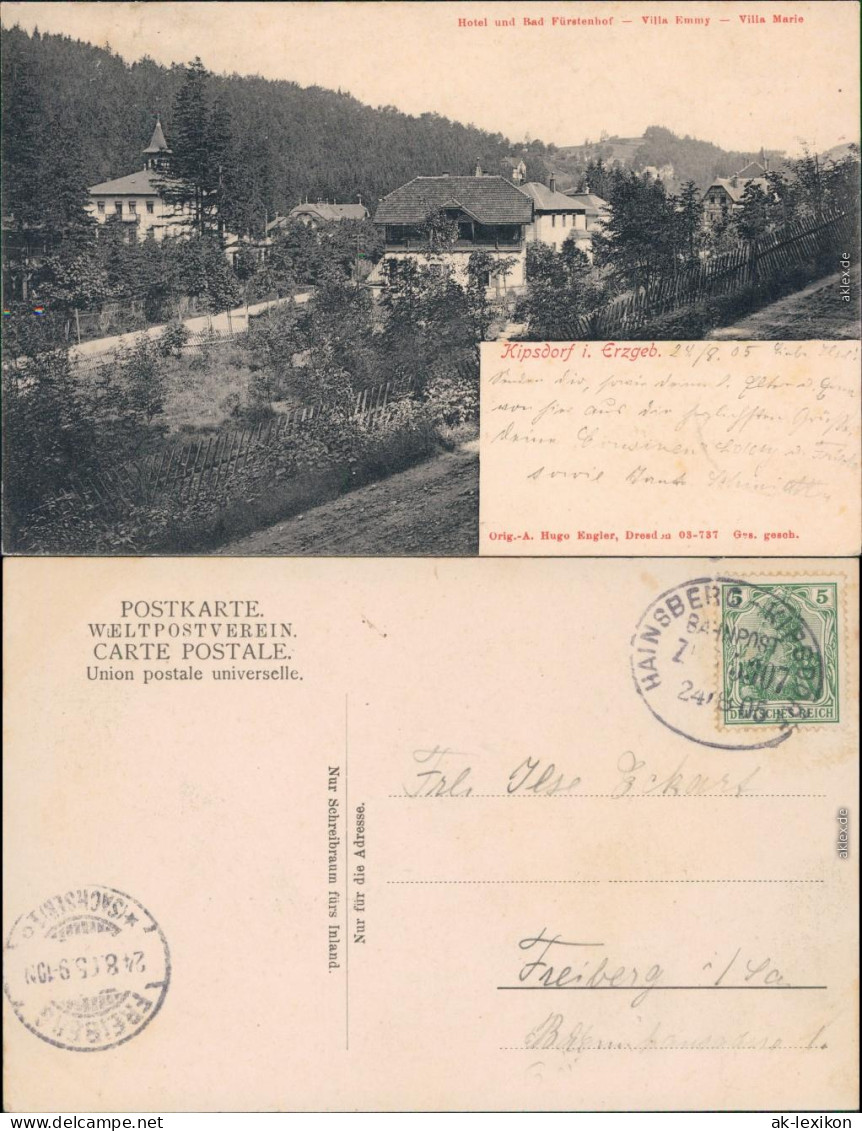 Kipsdorf Altenberg (Erzgebirge) Hotel Fürstenhof, Villa Emmy, Villa Marie 1905 - Kipsdorf