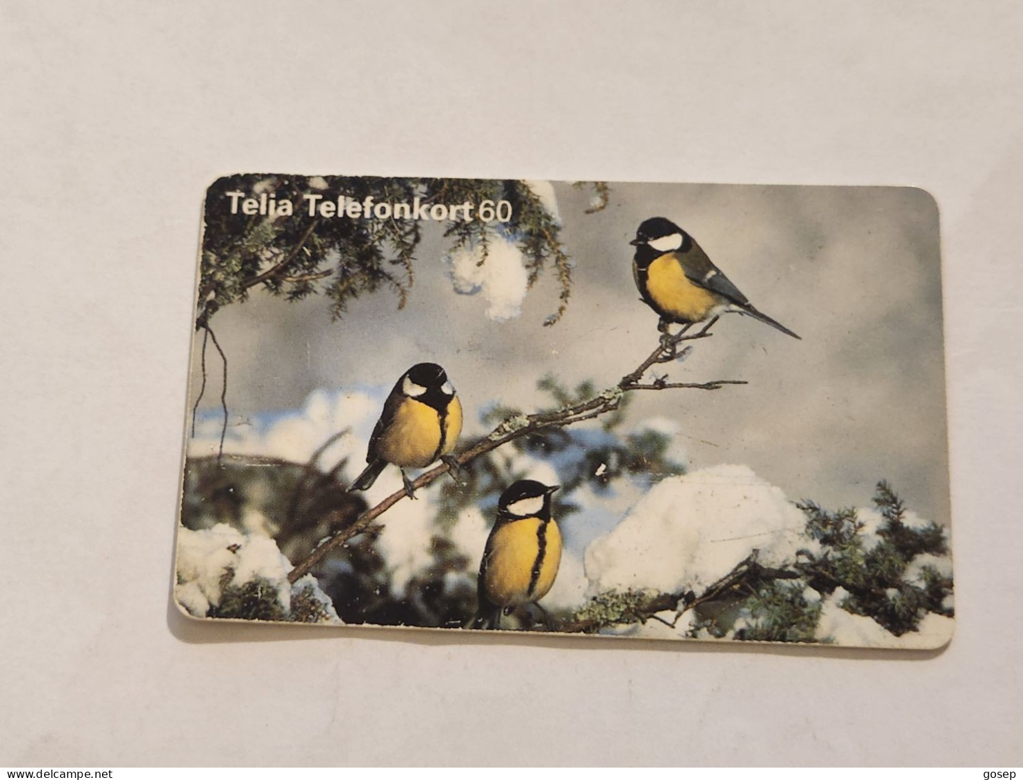 SWEDEN-(SE-TEL-060-0093)-Bird 21 Great -(25)(Telefonkort 60)(tirage-100.000)(1620113)-used Card+1card Prepiad Free - Suède