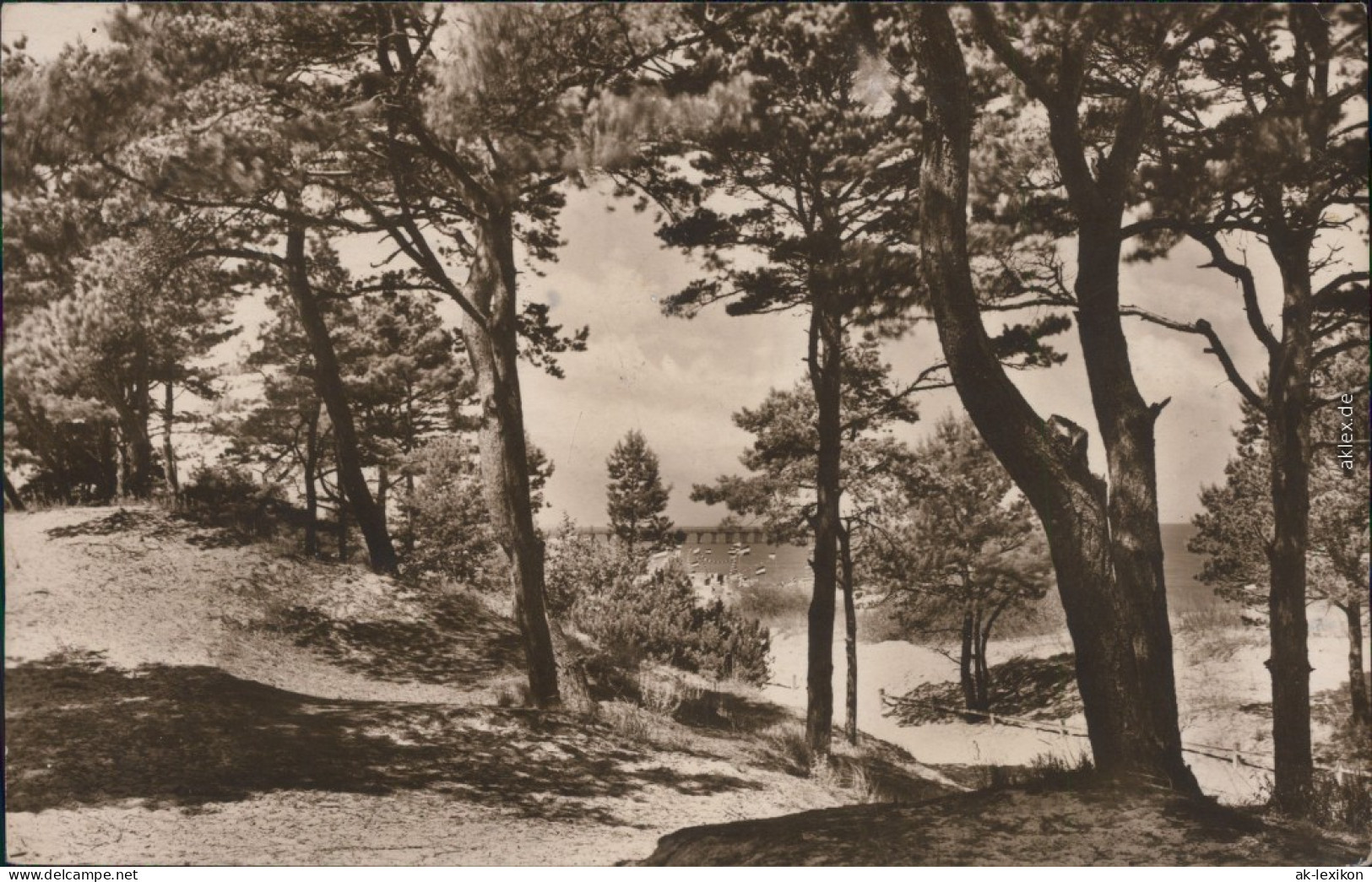 Ansichtskarte Zinnowitz Strand Mit Bäumen, Meer, Brücke 1926 - Zinnowitz