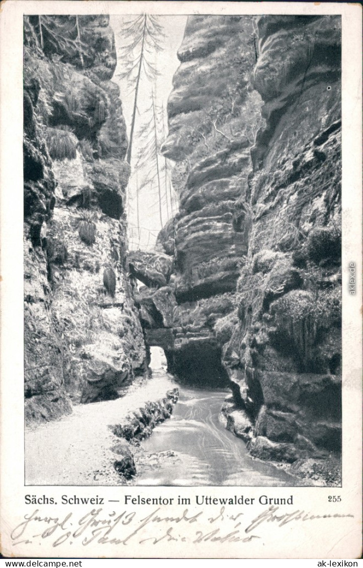 Ansichtskarte Wehlen Felsentor Im Uttewalder Grund 1915 - Wehlen