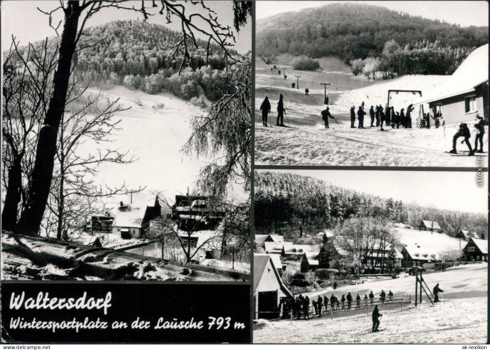 Ansichtskarte Waltersdorf-Großschönau (Sachsen) Lausche Mit Skilift 1975 - Grossschönau (Sachsen)