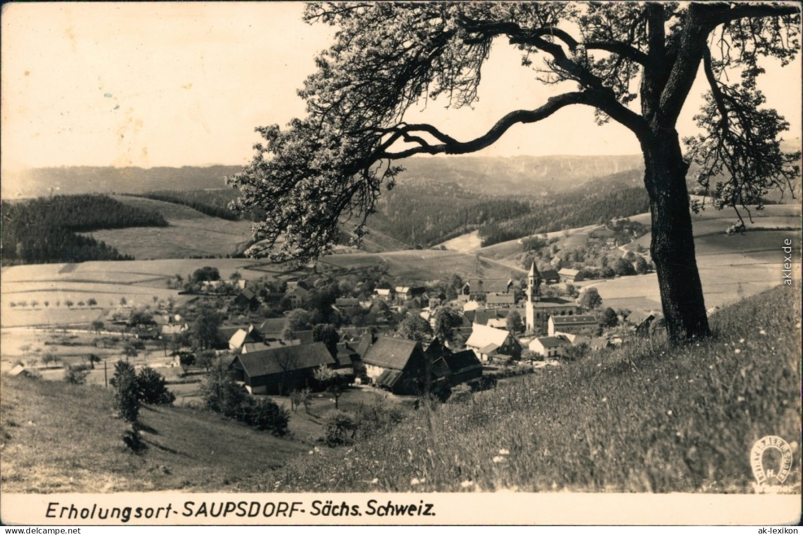 Ansichtskarte Saupsdorf-Kirnitzschtal Panoramablick über Den Ort 1961 - Kirnitzschtal