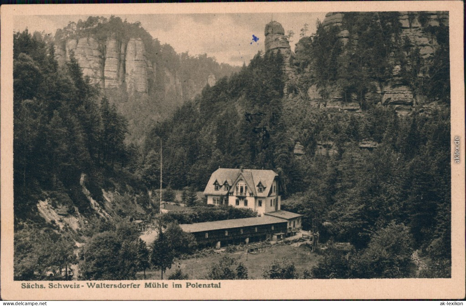 Ansichtskarte Polenz-Neustadt (Sachsen) Waltersdorfer Mühle 1928  - Neustadt