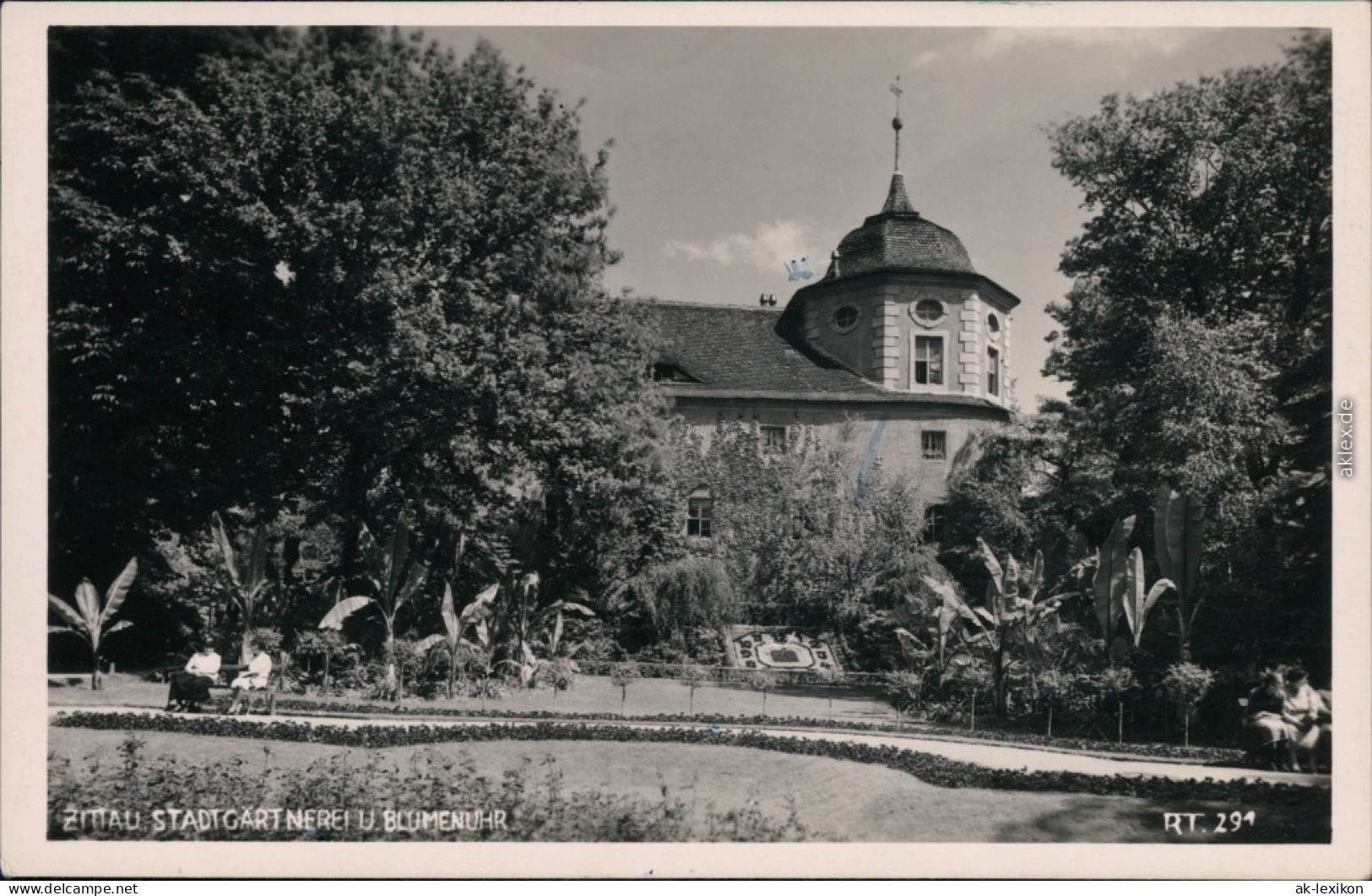 Ansichtskarte Zittau Stadtgärtnerei Mit Blumenuhr 1955 - Zittau