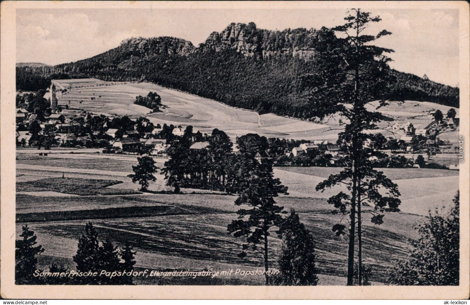 Papstdorf-Gohrisch (Sächs. Schweiz) Panoramablick Zum Papststein 1955 - Gohrisch