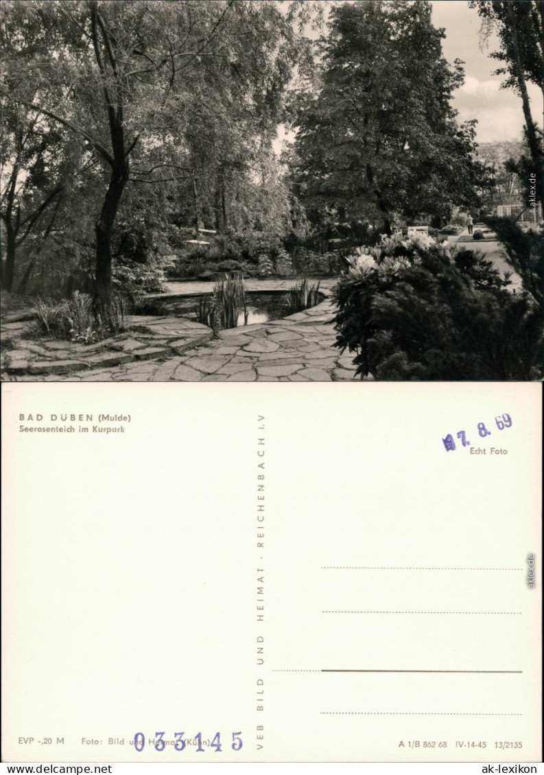Ansichtskarte Bad Düben Seerosenteich Im Kurpark 1969 - Bad Dueben